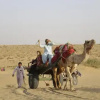 Отель Camel Safari Dunes Camp, фото 10