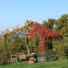 Отель Casina Di Cornia, фото 3
