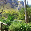 Отель Fynbos Corner Cottage, фото 8
