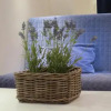 Отель Apartament Senatorska, фото 7