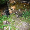 Отель Creekside Chalet, фото 9