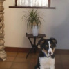 Отель Doolin Cottage B&B, фото 13