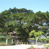 Отель Jintongzi Hot Spring Resort, фото 17