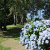 Отель Three B, фото 2