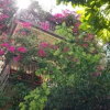 Отель B&B Le Terrazze, фото 1
