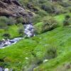 Отель Refugio Alpujarra Alta, фото 6