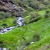 Отель Refugio Alpujarra Alta, фото 7