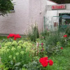 Отель Pensiunea Ruxandra, фото 4
