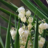 Отель Villa Melini, фото 8