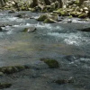 Отель Elk Run On Cosby Creek - 2 Br Cabin, фото 19