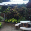 Отель Honey Homestay, фото 4