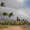 Отель Molokai Vacation Properties - Aala Hale, фото 10