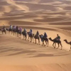 Отель Merzouga Aicha Camp, фото 7