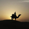 Отель Camel Safari Dunes Camp, фото 7
