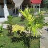 Отель Baiq Homestay, фото 9