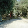 Отель Camping Paleokastritsa, фото 6