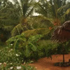 Отель Wadiya Tourist Guest House, фото 7