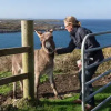 Отель Clifden Bay Lodge, фото 1