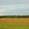 Отель Casa Vacanze Azalea, фото 7