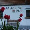 Отель Galler am Berg, фото 1