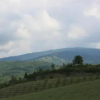 Отель Agriturismo Cà Bella, фото 12