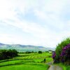 Отель Ring of Kerry Holiday Homes, фото 9