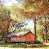 Отель Glamping Dehesa de las Yeguas, фото 8
