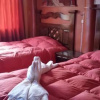 Отель Hostal Misky Wasicha, фото 5