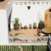Отель Riad Dar Wildeve, фото 10