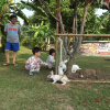 Отель Vijitra Camping & Resort, фото 10