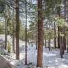 Отель Mountain View Villas 34, фото 16