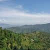 Отель HBC Grand Himalayan Hotel & Resort, фото 9