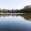 Отель Vakantiepark Schouwen, фото 5