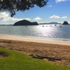 Отель Paihia Beach House B and B, фото 7