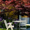 Отель Ligarilli B&B, фото 7
