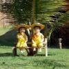Отель Sitio Das Flores, фото 1