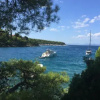 Отель Villa Brac, фото 11