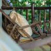 Отель Diani Villa, фото 3