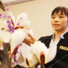 Отель Wenzhou Hotel Guiyang, фото 1
