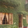 Отель Raintree Lodge, фото 10