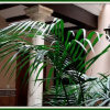 Отель Hospital De Peregrinos, фото 8