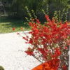 Отель La Maison de Roussille, фото 11