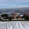 Отель Villa San Domenico a Barbaresco, фото 6