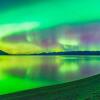 Отель Kluane Green Sprout Vacation Home, фото 4