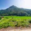 Отель Yangpyeong Pullmusan Pension, фото 17