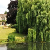 Отель Castle Farm Guest House, фото 10