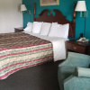 Отель Palmetto Inn, фото 17
