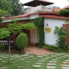 Отель Button Eyes Resort - Pet friendly, фото 6