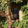 Отель Alpenresidenz Chiemgau, фото 6