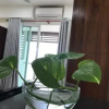 Отель D'Perdana Residence, фото 10